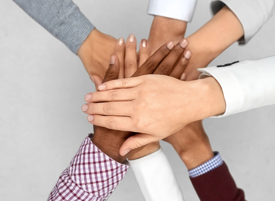 Elevated Collective Coaching & Consulting Elevated Collective Coaching & Consulting